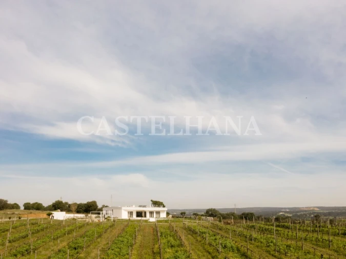 Moradia T3 para Venda em Nossa Senhora da Vila, Nossa Senhora do Bispo e Silveiras Foto 6