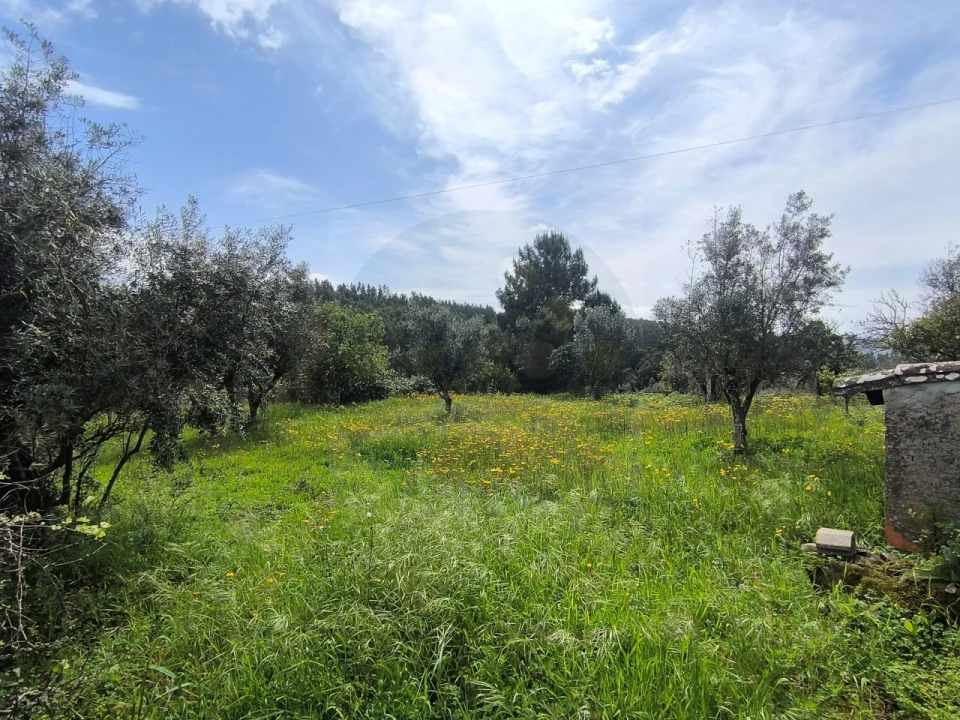 Armazém para Venda em Mação, Penhascoso e Aboboreira Foto 5
