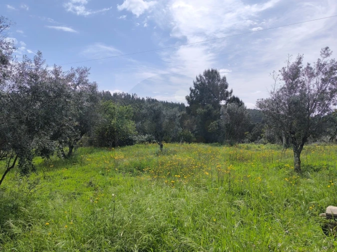 Armazém para Venda em Mação, Penhascoso e Aboboreira Foto 2