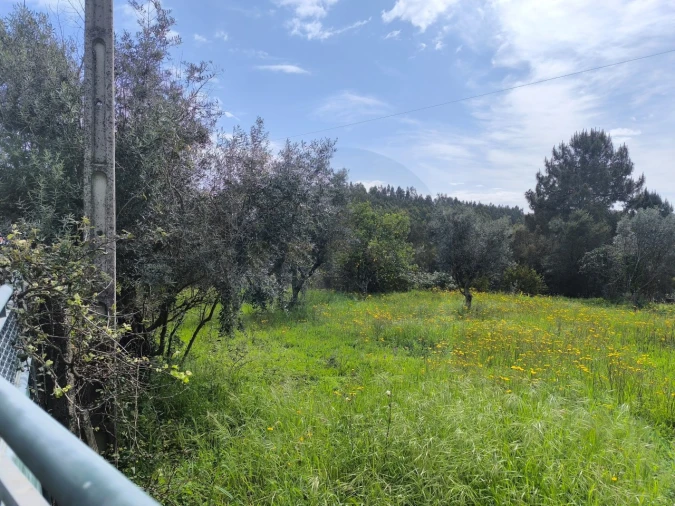 Armazém para Venda em Mação, Penhascoso e Aboboreira Foto 3