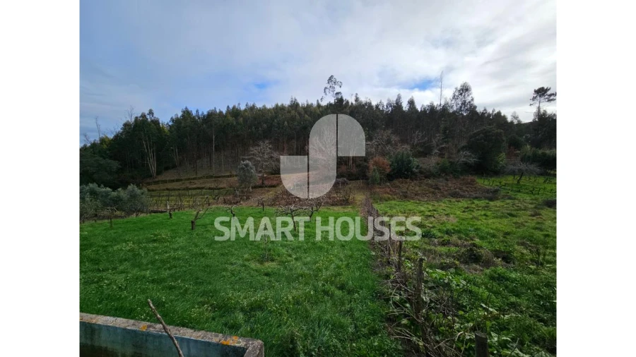 Moradia T3 para Venda em Friúmes e Paradela Foto 40