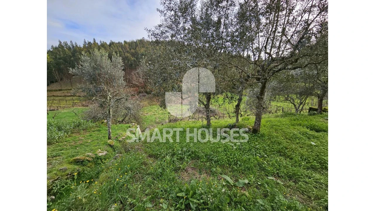 Moradia T3 para Venda em Friúmes e Paradela Foto 39