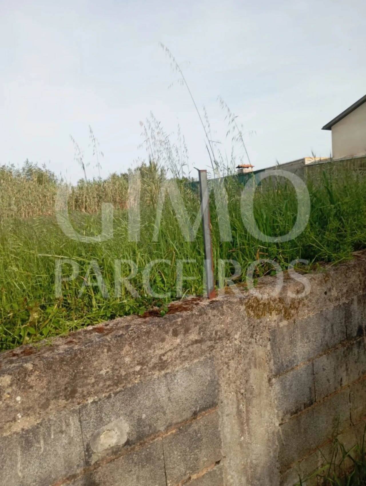 Terreno para Venda em Oiã Foto 2