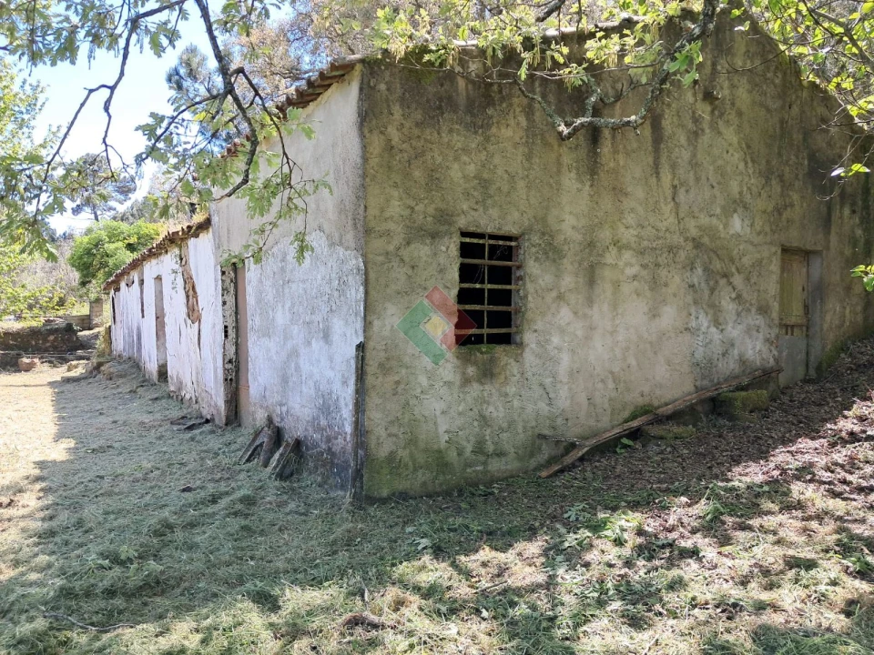 Quinta T5 para Venda em São Salvador da Aramenha Foto 3