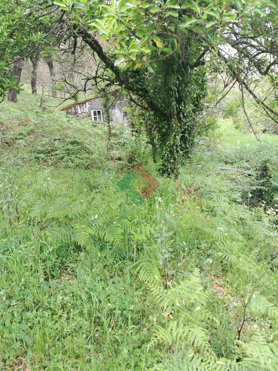 Quinta T5 para Venda em São Salvador da Aramenha Foto 7