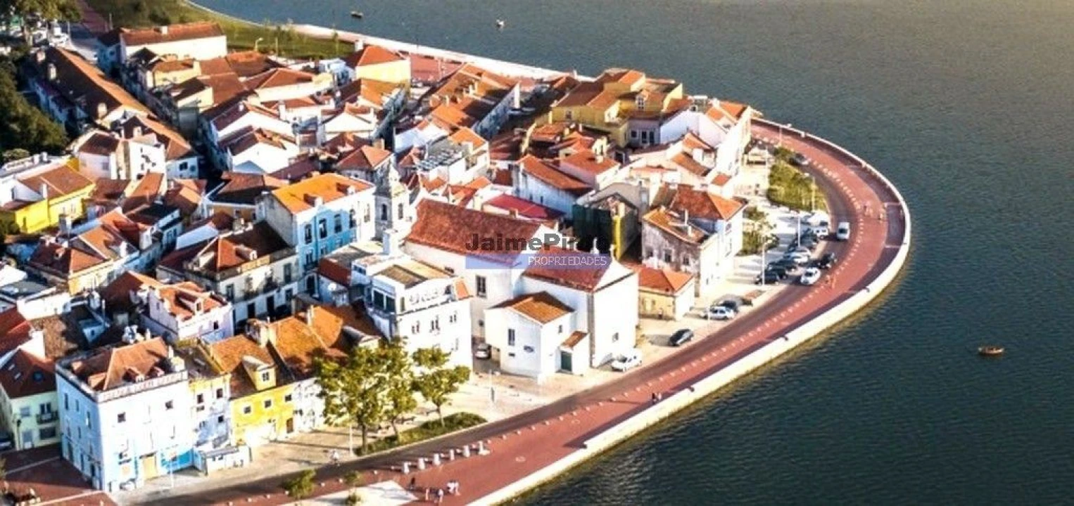 Terreno P/ Prédio para Venda em Amora Foto 2