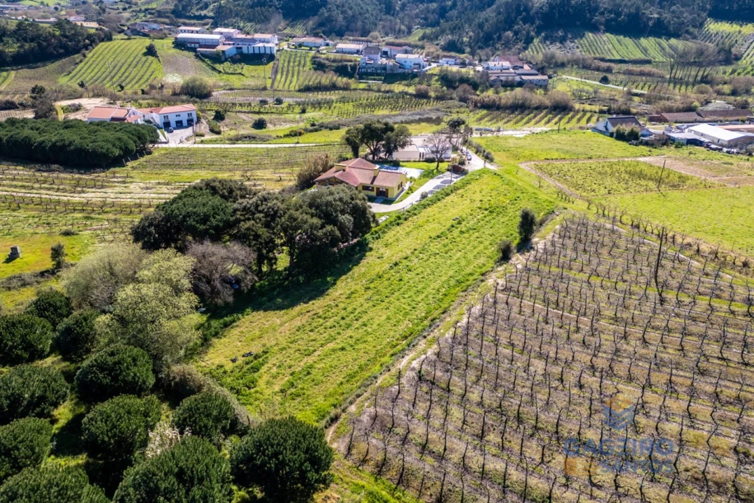 Terreno para Venda em Alfeizerão Foto 5