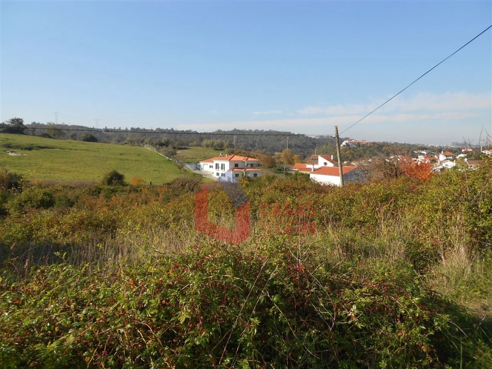 Terreno Agricola ou Rústico para Venda em Reguengo do Fetal Foto 3