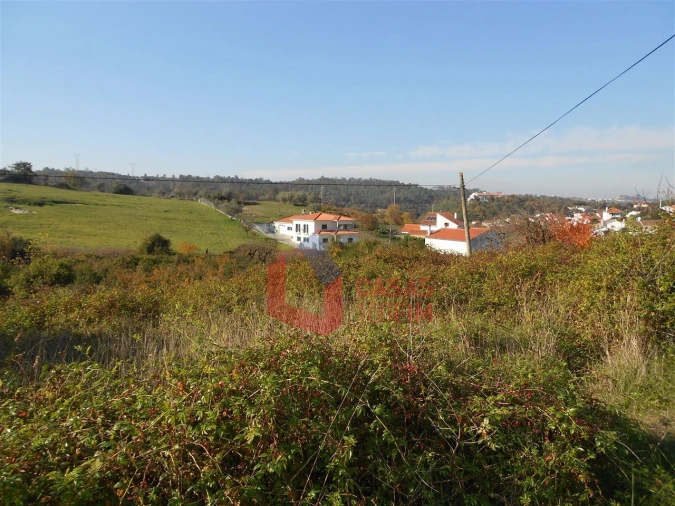 Terreno Agricola ou Rústico para Venda em Reguengo do Fetal Foto 3