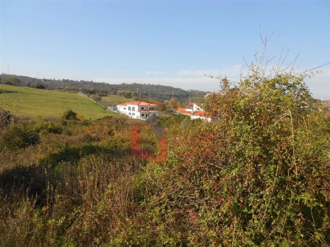 Terreno Agricola ou Rústico para Venda em Reguengo do Fetal Foto 4