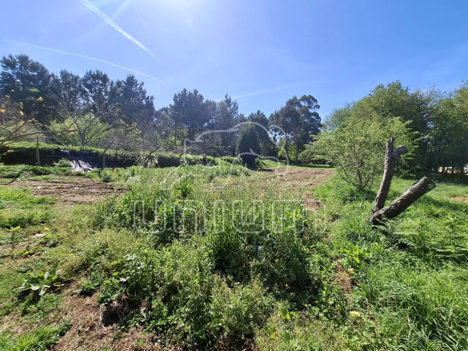 Terreno para Venda em Seixas Foto 9