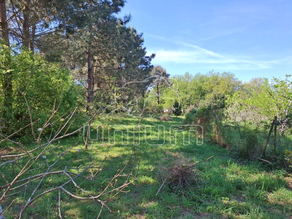 Terreno para Venda em Seixas Foto 10