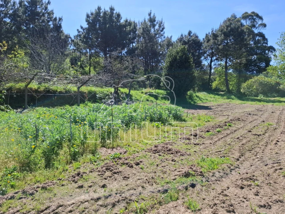 Terreno para Venda em Seixas Foto 14