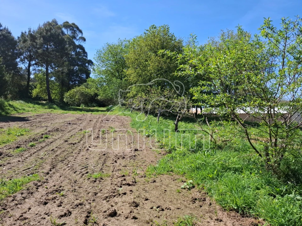 Terreno para Venda em Seixas Foto 15