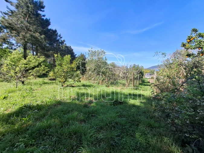 Terreno para Venda em Seixas Foto 5