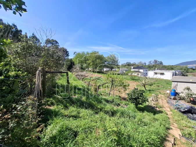 Terreno para Venda em Seixas Foto 7