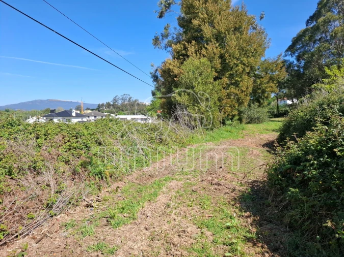 Terreno para Venda em Seixas Foto 2