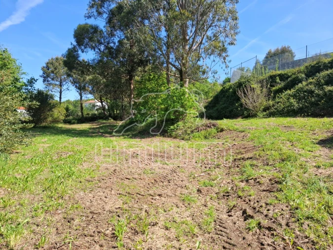 Terreno para Venda em Seixas Foto 13
