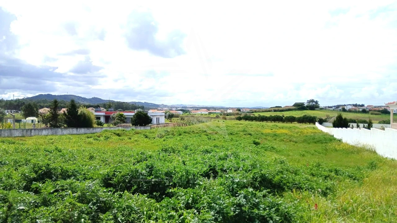 Terreno para Venda em Tornada e Salir do Porto Foto 13