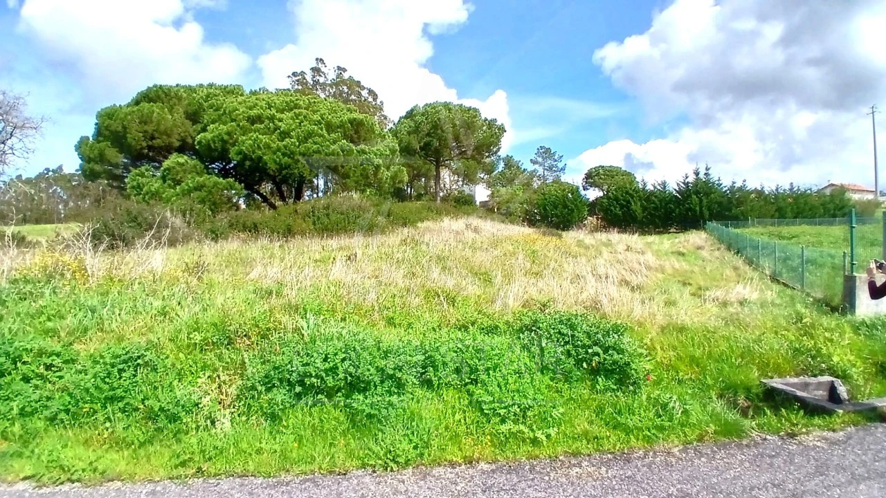 Terreno para Venda em Tornada e Salir do Porto Foto 7