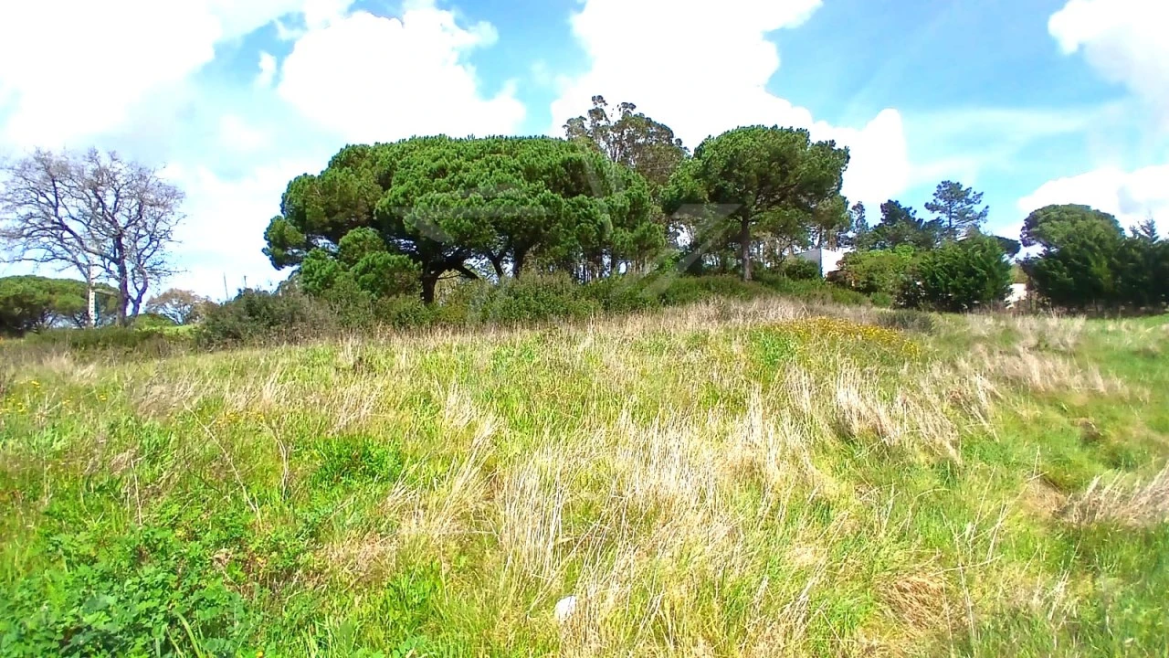 Terreno para Venda em Tornada e Salir do Porto Foto 6