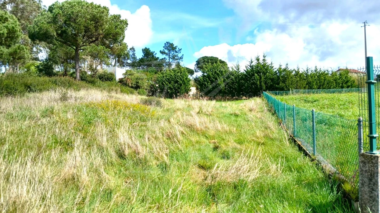 Terreno para Venda em Tornada e Salir do Porto Foto 12