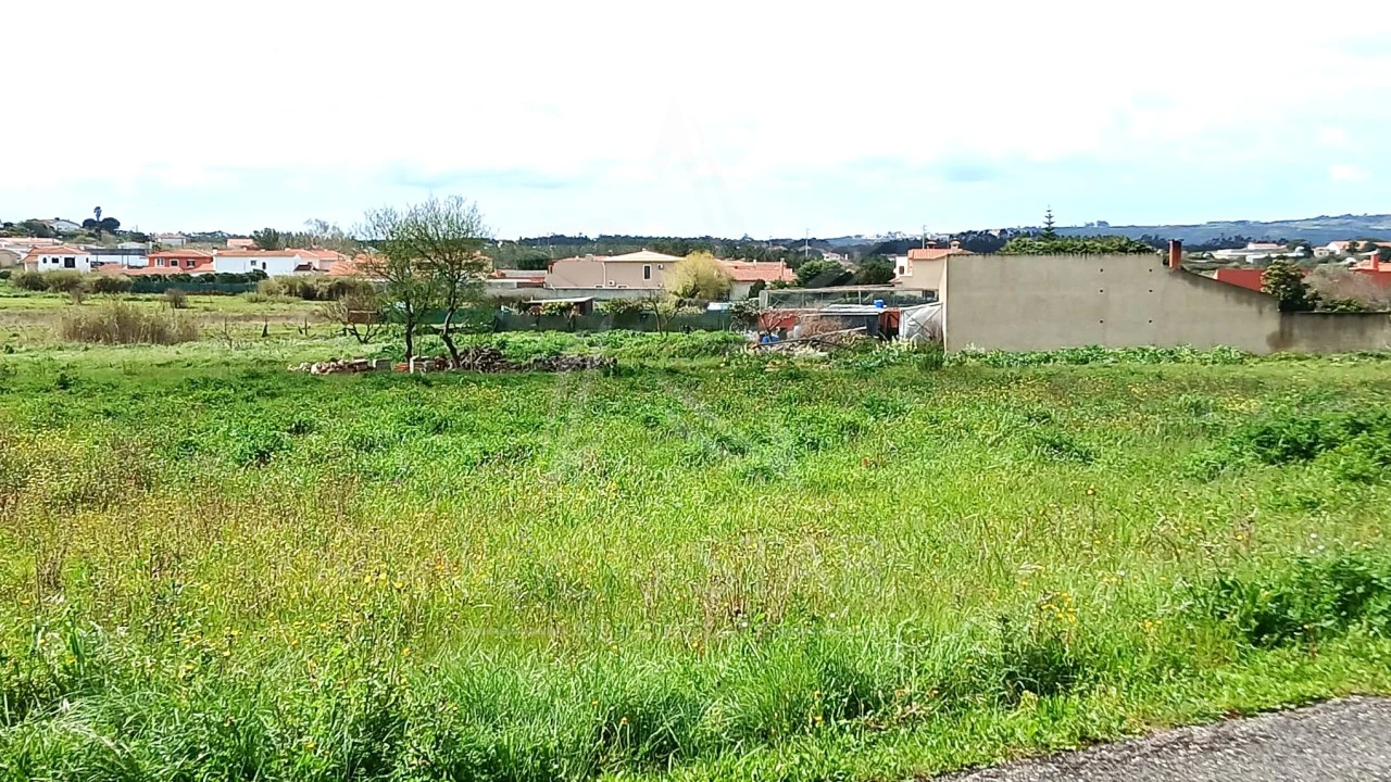 Terreno para Venda em Tornada e Salir do Porto Foto 14
