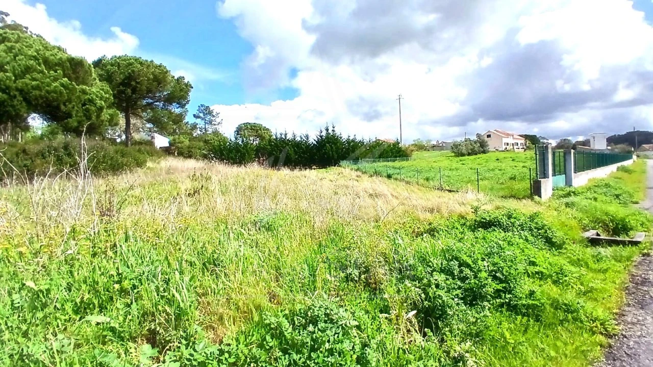 Terreno para Venda em Tornada e Salir do Porto Foto 22