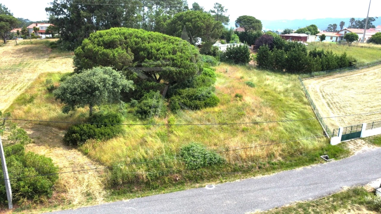 Terreno para Venda em Tornada e Salir do Porto Foto 24