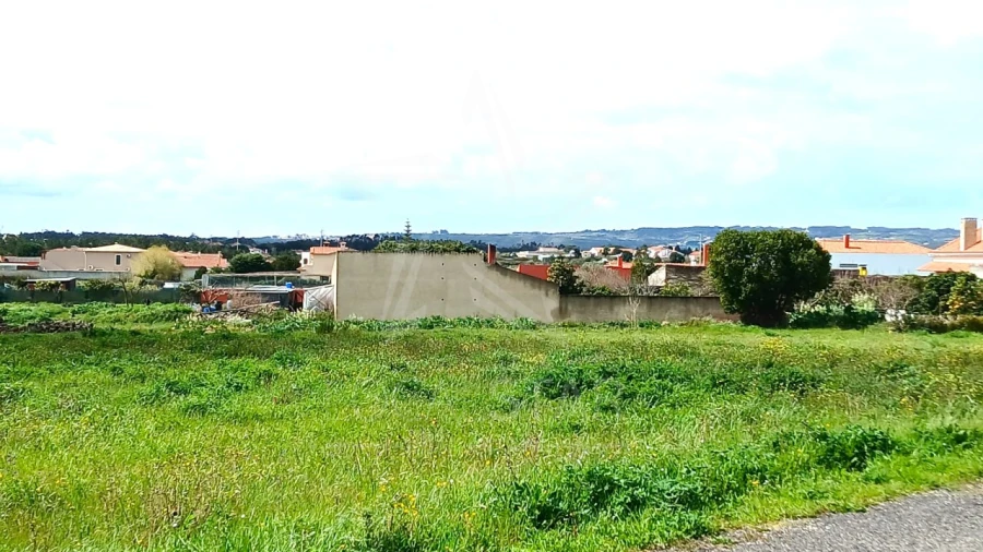 Terreno para Venda em Tornada e Salir do Porto Foto 16