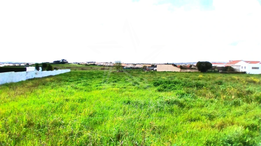 Terreno para Venda em Tornada e Salir do Porto Foto 19