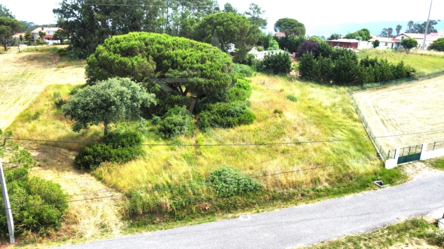 Terreno para Venda em Tornada e Salir do Porto Foto 1