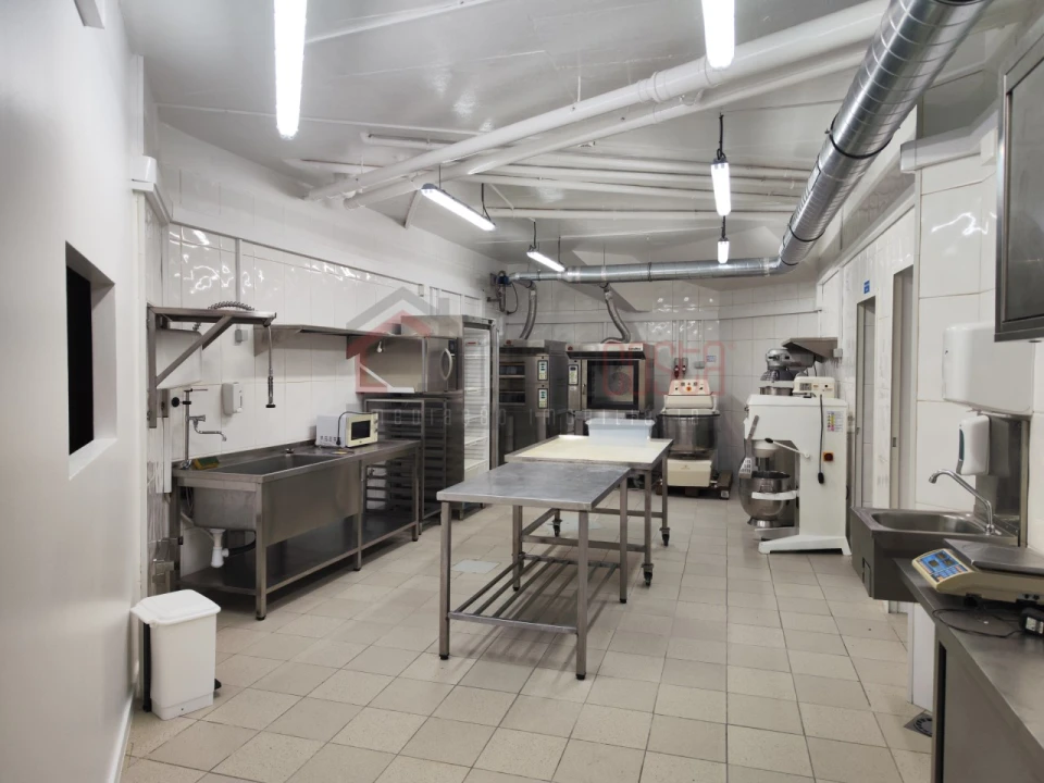 Negócio para Venda em Serra D'El-Rei Foto 14