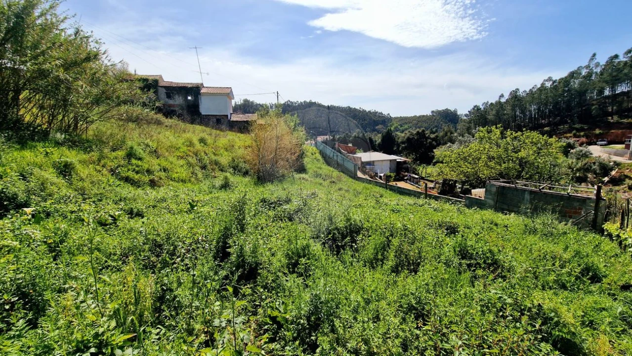 Terreno para Venda em Eiras e São Paulo de Frades Foto 1