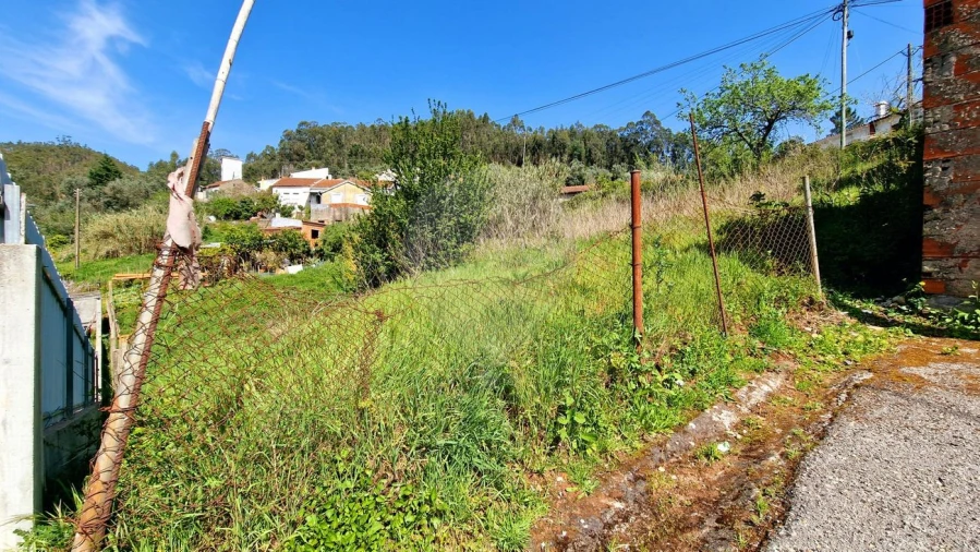 Terreno para Venda em Eiras e São Paulo de Frades Foto 3