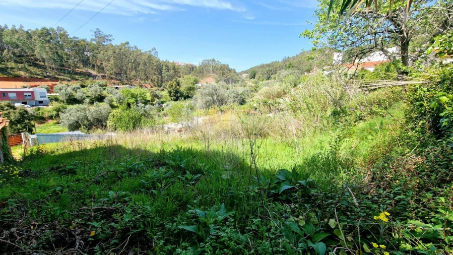 Terreno para Venda em Eiras e São Paulo de Frades Foto 6