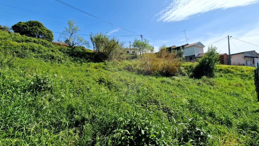 Terreno para Venda em Eiras e São Paulo de Frades Foto 5