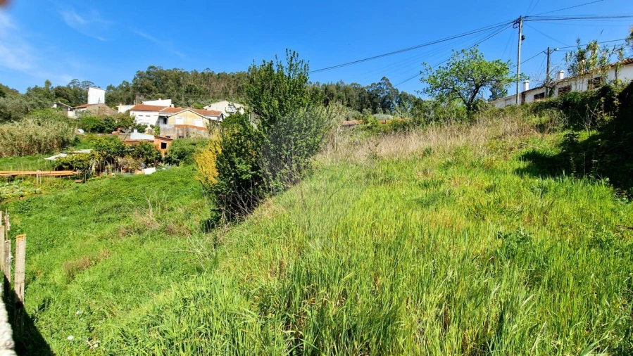 Terreno para Venda em Eiras e São Paulo de Frades Foto 4
