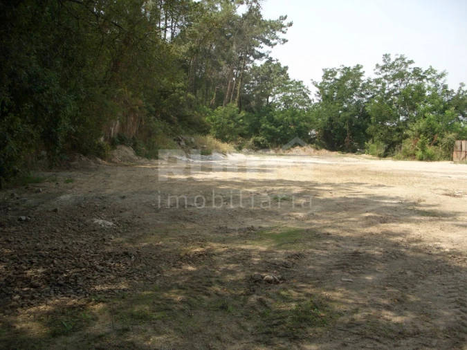 Terreno para Venda em Darque Foto 11