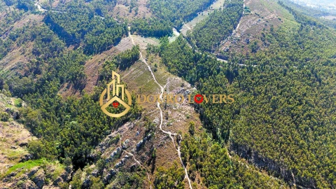 Terreno Agricola ou Rústico para Venda em Penafiel