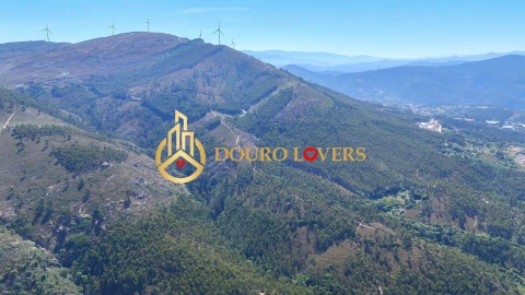 Terreno Agricola ou Rústico para Venda em Penafiel