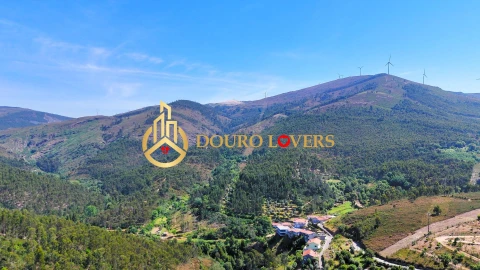 Terreno Agricola ou Rústico para Venda em Penafiel