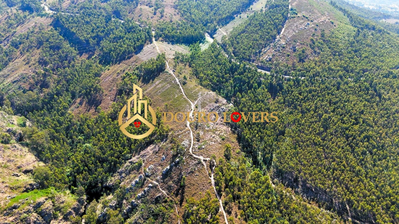 Terreno Agricola ou Rústico para Venda em Penafiel Foto 10