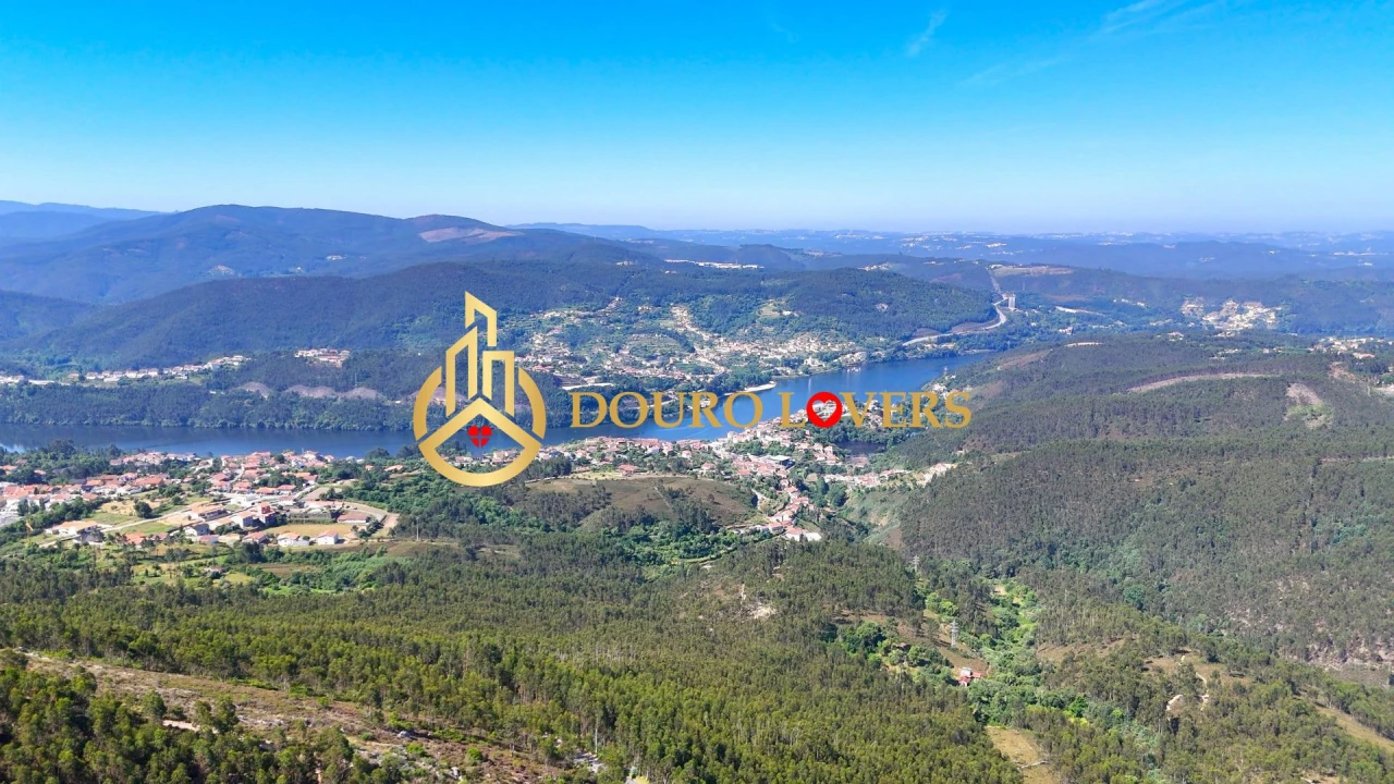 Terreno Agricola ou Rústico para Venda em Penafiel Foto 6