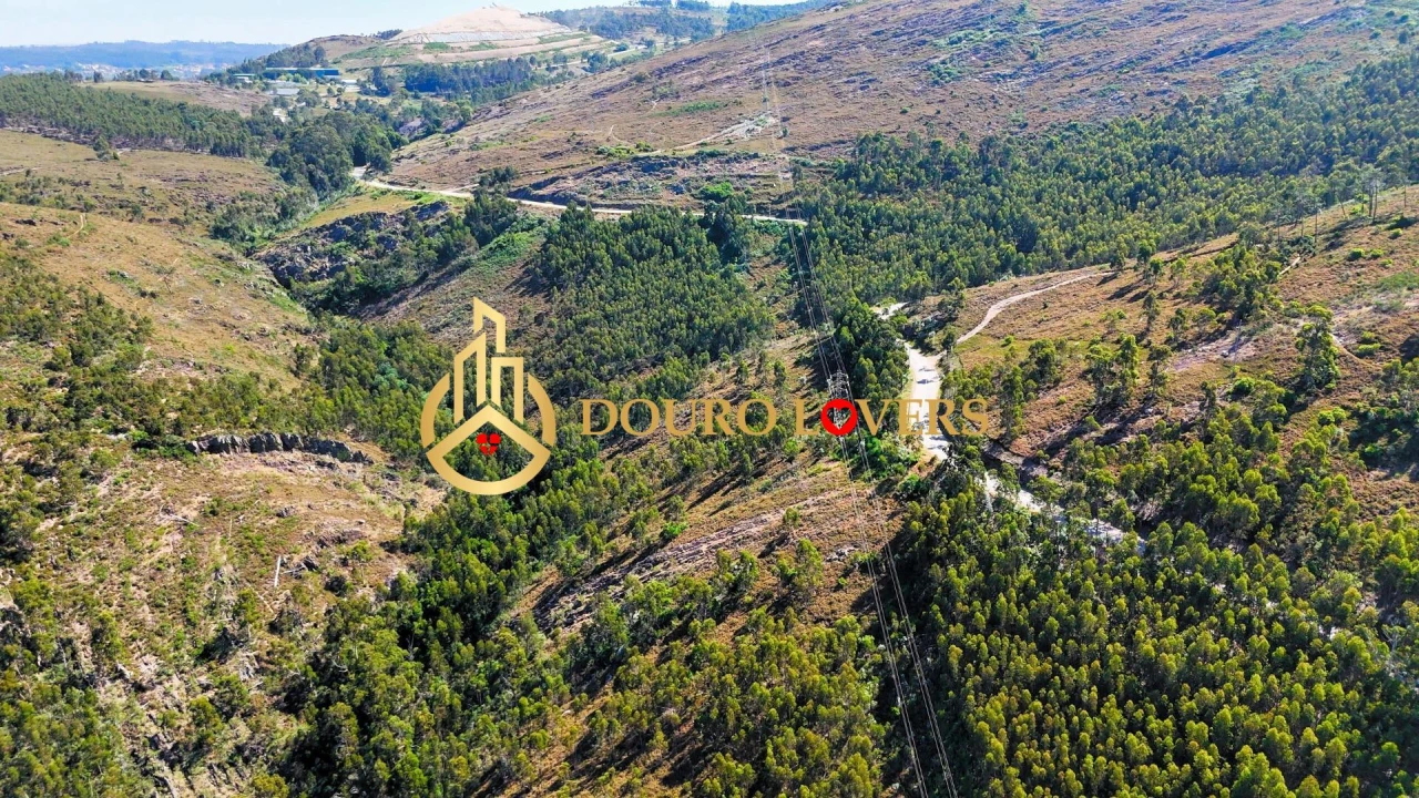 Terreno Agricola ou Rústico para Venda em Penafiel Foto 10