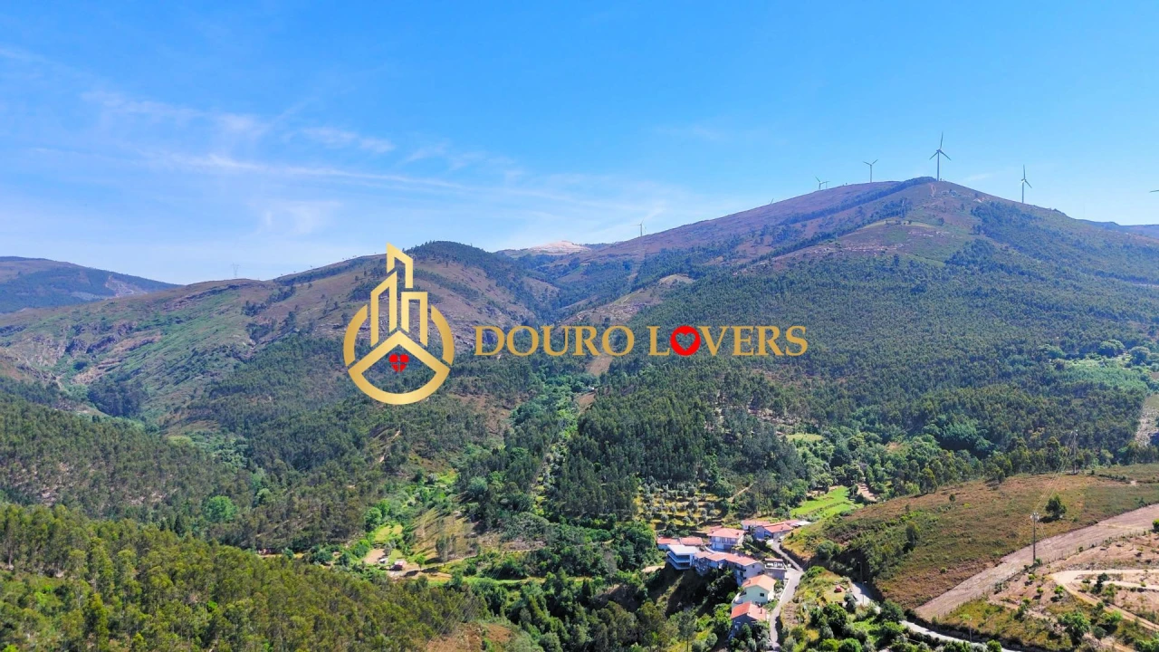 Terreno Agricola ou Rústico para Venda em Penafiel Foto 7