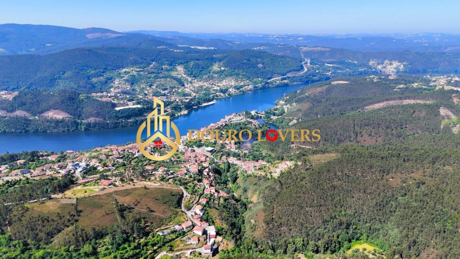 Terreno Agricola ou Rústico para Venda em Penafiel