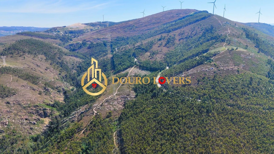 Terreno Agricola ou Rústico para Venda em Penafiel Foto 9