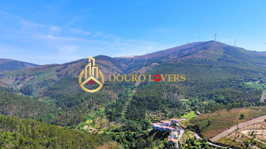 Terreno Agricola ou Rústico para Venda em Penafiel Foto 6