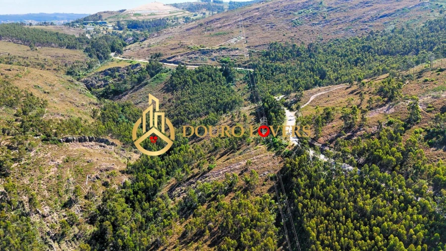 Terreno Agricola ou Rústico para Venda em Penafiel Foto 11